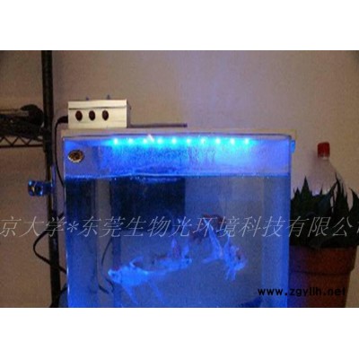 珊瑚培养水底景观灯防水防潮//北大专属