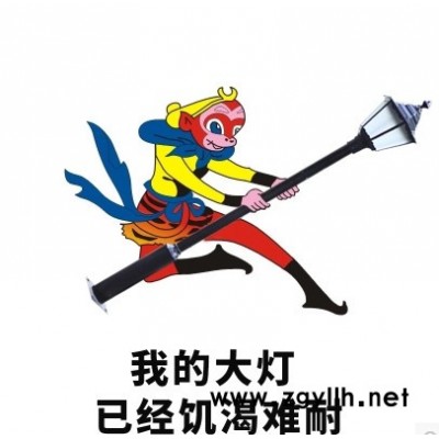 普仕亮LED庭院灯 户外庭院灯 草坪灯 景观灯 生产厂家