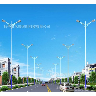 ** 特色道路照明系列 双臂灯道路灯30W*2  led光源