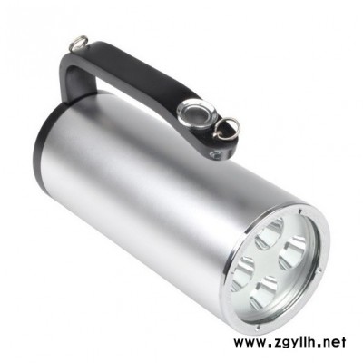 【天阳】跨境 Cob可充电双用工作灯 泛光灯 USB充电露营手提探照草坪灯