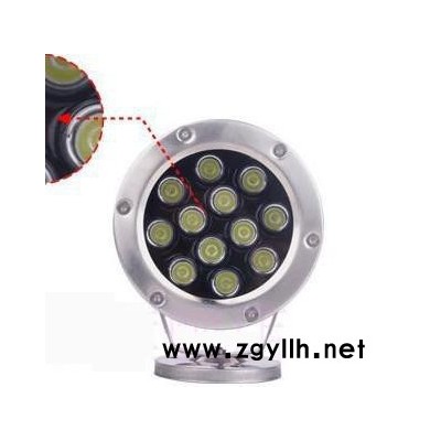 LED水底灯 15W 景观灯 水下灯 鱼池鱼缸喷泉投光灯