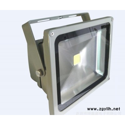 **led投光灯50w **led泛光灯50w led景观灯 户外led广告灯