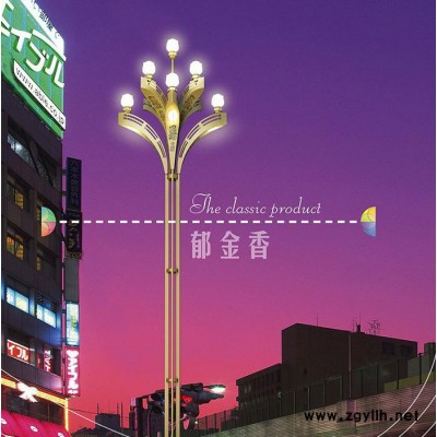 鹏万达MD-郁金香 景观灯  路灯 造型独特 高效节能 品质保证 ** 欢迎来电咨询