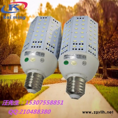 凯明KW-LC100W  玉米灯    E40八面发光横插节能玉米灯   景观灯   庭院灯
