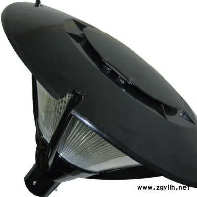 供应五年质保无极灯庭院灯LG0401