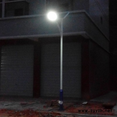 组合灯中华灯广场商场园林景观玉兰灯室外景观灯具LED路灯厂家