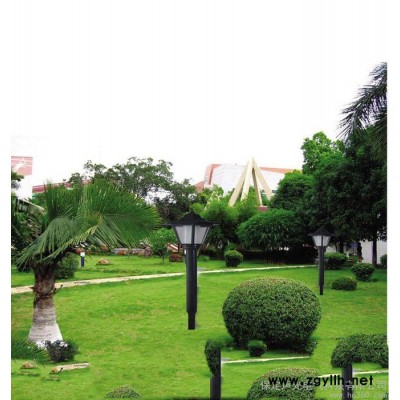 供应声光电气SG-C-004供应大连草坪灯 鞍山草坪灯