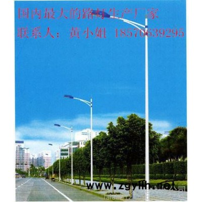 衡阳市供应新农村建设专用景观灯