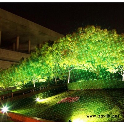 Waterproof  laser light 防水草坪灯