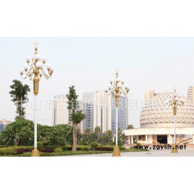 中华灯直销 景观灯可定制 LED景观照明户外庭院广场路灯