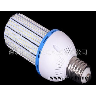 LED玉米灯 鳍片玉米灯 30W 带风扇 庭院灯 LED玉米灯 庭院灯