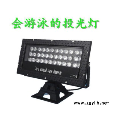 LED草坪灯 投光灯 投射灯 景观庭院灯具 园林灯24w36w户外防水