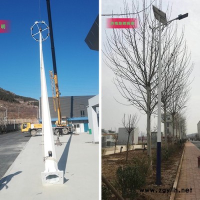 莒南草坪灯定制厂家 淄川景观灯安装方法