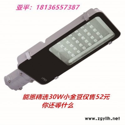 能恩精选 30瓦金豆仅售52元、太阳能路灯、高杆灯、景观灯、庭院灯、异型灯、民族灯、支持5到10米各式样灯杆订做