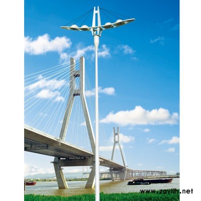 LED景观灯 高质环保LED路灯 江苏LED路灯批发 小区LED路灯 广场LED景观灯