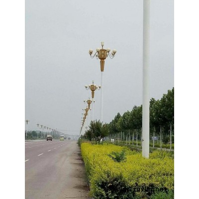 陕西路灯厂家批发_甘肃景观灯厂家 星月照明