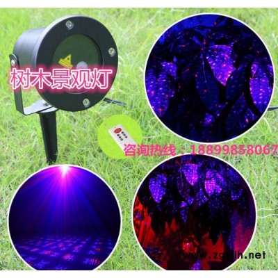 供应草坪防水激光灯 大功率舞台灯 圣诞园林景观灯 红绿满天星 LBS-210-02