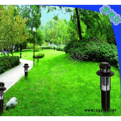 路灯生产10w-20w新款节能LED太阳能草坪灯 松源照明