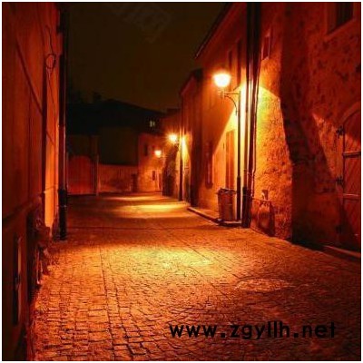 宜宾路灯厂 市电路灯 led路灯 道路灯