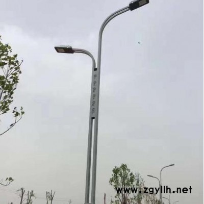 博兴路灯厂    LED 路灯   市电路灯