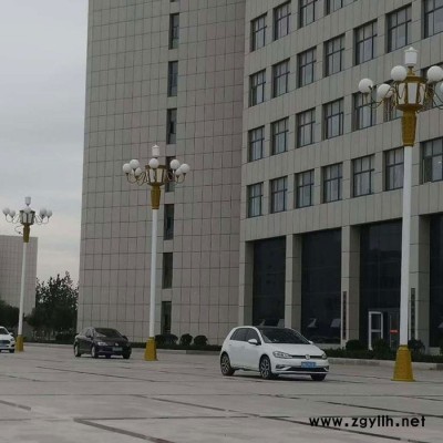 风光互补太阳能路灯 .锂电池路灯 风光互补路灯 太阳能路灯