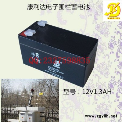 康利达12V1.3AH 寿命长不漏酸 门禁报警器仪器仪表草坪灯用蓄电池