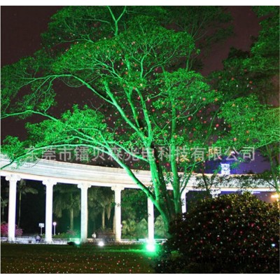 园林激光插地灯 遥控满天星草坪灯 户外防水镭射灯