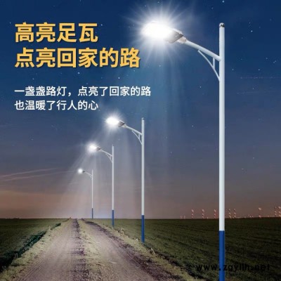 普米瑞TYN-008 市电路灯6米A字臂道路灯户外大功率路灯