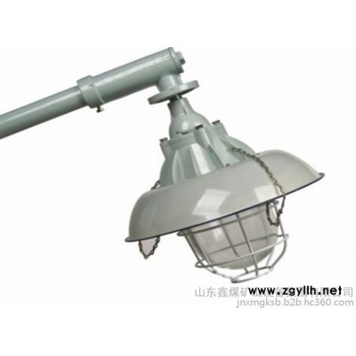 BCM系列防爆马路灯** 道路照明灯 防爆道路灯性能产品  BCM系列防爆马路灯** 道路照明灯 防爆道路灯