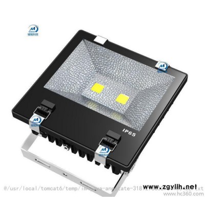 泛光灯庭院灯LED灯鳍片散热泛光灯室外用灯广告牌投射灯100