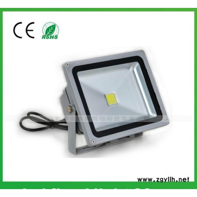 畅销款30w庭院灯 园林景观别墅亮化照明 永鑫瑞直销质保三年