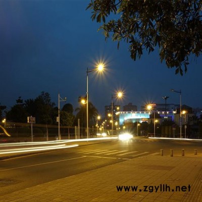 正日 户外led路灯厂家，专业生产led路灯，小区路灯，照明路灯，新农村路灯等户外路灯厂家，按需定制，欢迎咨询~