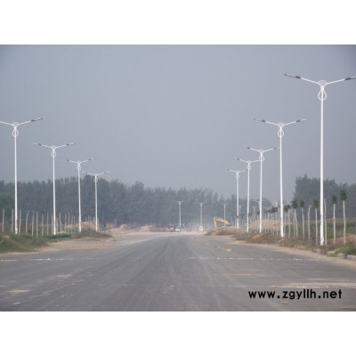 陕西路灯厂家优惠_星月照明  陕西庭院灯厂家