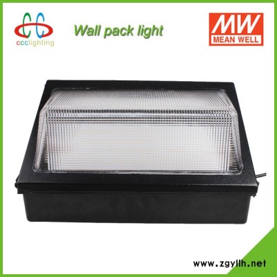 LED壁灯 100W IP65 明纬电源 质保5年 美国UL、DLC认证 庭院灯 广场灯 景观灯 走廊灯 酒店灯 商场灯