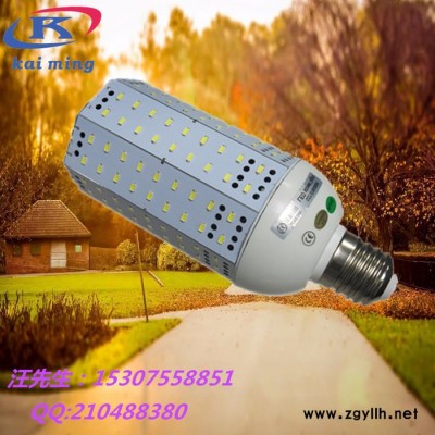 凯明KW-LC-60W 5730贴片玉米灯   ROSH认证贴片玉米灯  庭院灯