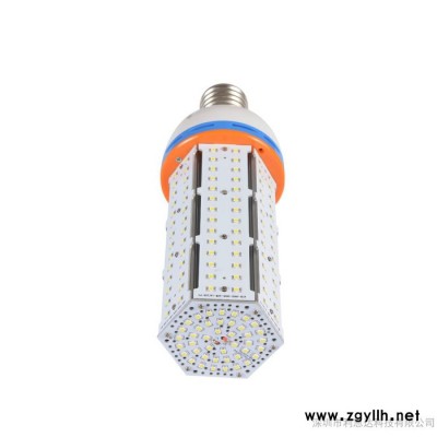 专业供应跨境电商LED玉米灯e27庭院灯e40庭院灯厂家
