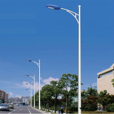 LVJIE/绿节FL-LD-06 路灯 LED路灯 景观路灯 LED照明灯具厂家定制