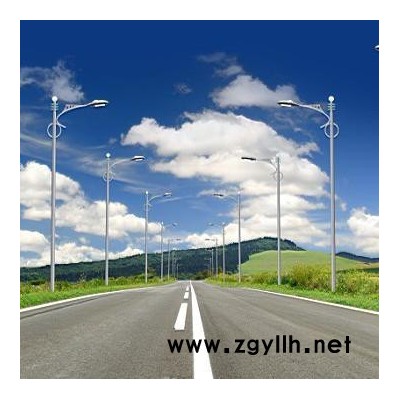 供应燎盛001LED路灯庭院灯马甲灯