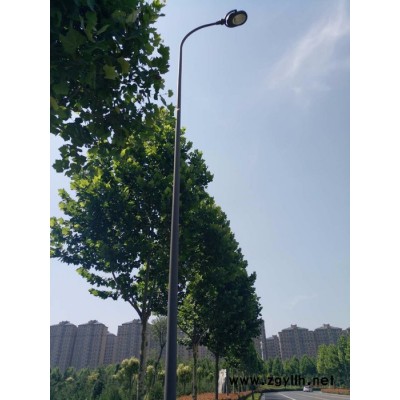 河南路灯厂家批发_星月照明 兰州庭院灯厂家