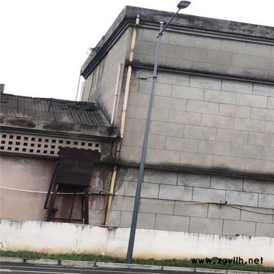 资阳市特色路灯杆  机场高杆灯_多杆合一_路灯厂家