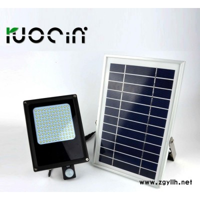 若盛新款 家用太阳能灯 户外太阳能庭院灯 人体感应灯太阳能N500E