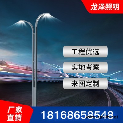 龙泽**道路路灯 一体化新农村led道路灯 6米30W市政路灯批发
