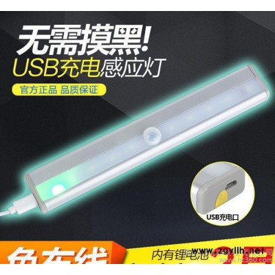 直销人体感应灯 外贸**人体感应灯庭院灯壁灯过道灯