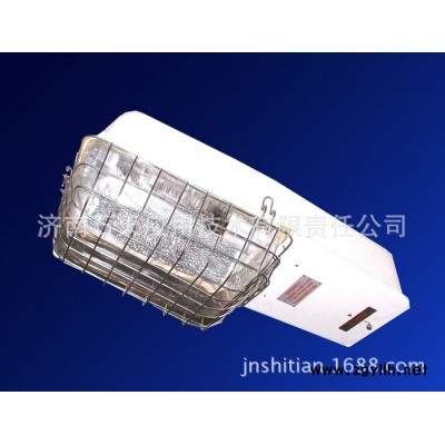 济南石天豪华防爆路灯250W