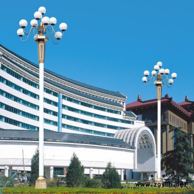 中华灯 专业生产8米中华灯 10米中华灯 路灯灯杆 高杆灯 LED路灯 厂家供应太阳能庭院灯、中华灯、景观灯、仿古庭院灯