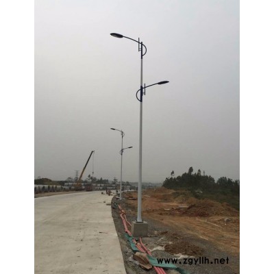 璀璨**各种路灯广场路灯 LED道路灯 太职能路灯