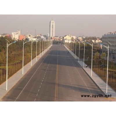 厂家供应 YY-6M-30W 太阳能路灯 庭院灯 批发价格