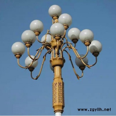 常州FNZH/伍玖照明FNZH专业中华灯 LED中华灯 道路灯 城市亮化路灯 道路亮化路灯 市政路灯