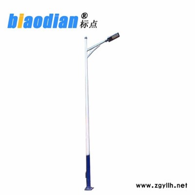标点照明 太阳能路灯LED路灯 农村建设道路灯**
