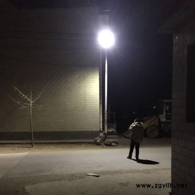 乡村太阳能路灯 太阳能LED路灯 道路太阳能路灯 LED户外灯具